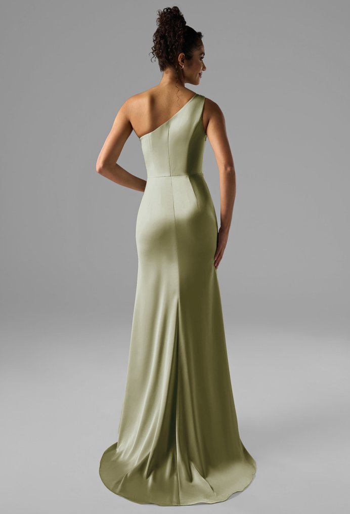AW Rohan Dress